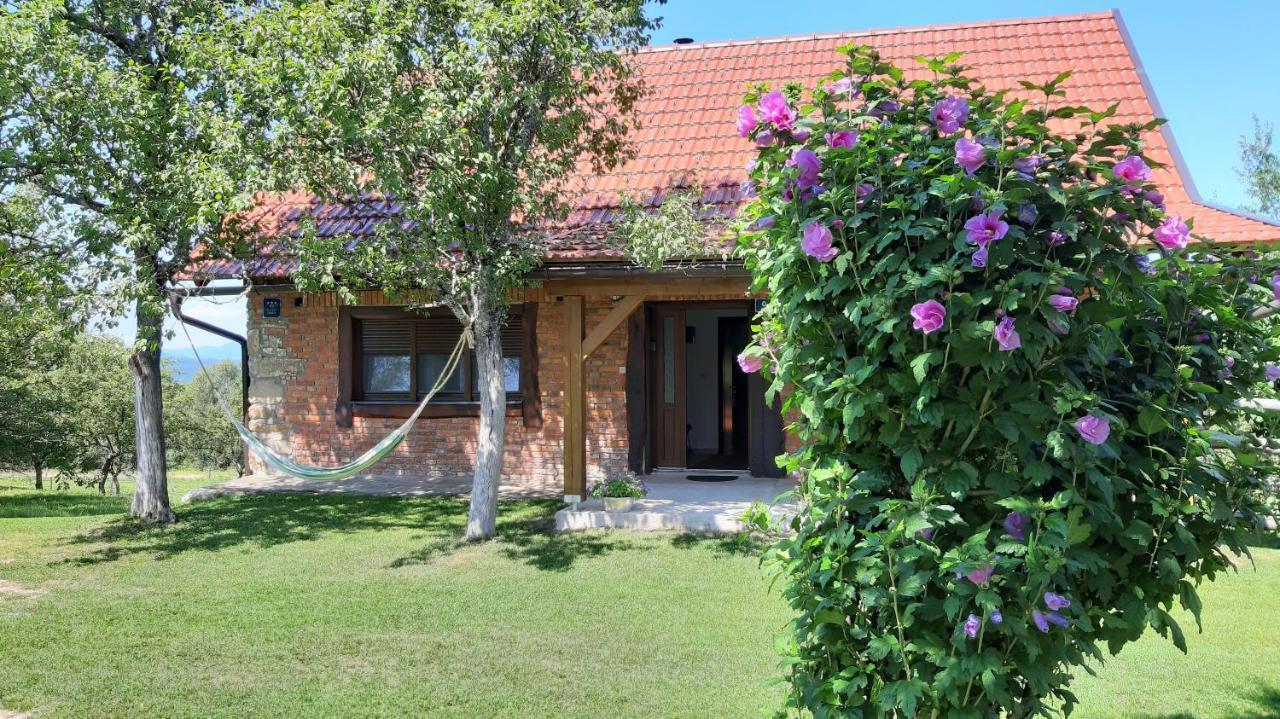 Holiday Home "Sleme" With Jacuzzi, Big Garden And Arbor With Fireplace Skrad Ngoại thất bức ảnh